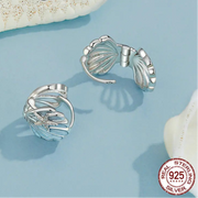 Ocean Star Shell Earrings