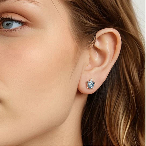 Aqua Turtle Earrings